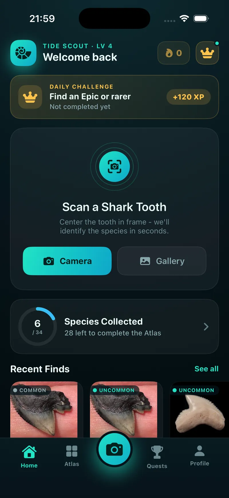 Shark Tooth Identifier app home screen with the Scan a Shark Tooth camera feature, a daily challenge and species collection progress